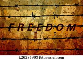 Freedom Freedom