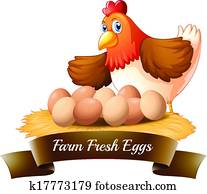 Fresh eggs from the farm Fresh eggs from the farm
