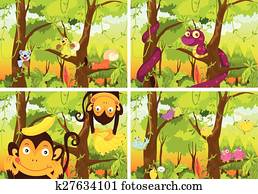 Jungle and animals Jungle and animals