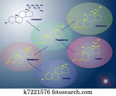 Steroidogenesis Steroidogenesis