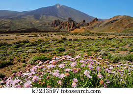 A view of volcano Mount Teide, in Teide National Park, in Tenerife, the highest elevation in Spain