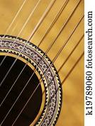 guitar guitar