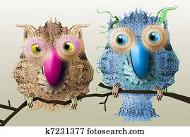 Love birds Love birds