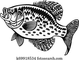 Download Fish Scales Clip Art Vectors | Our Top 1000+ Fish Scales EPS Images | Fotosearch