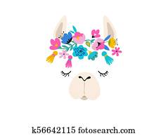 Llama illustration, cute hand drawn elements and design for nursery design, poster, greeting card Llama illustration, cute hand drawn elements and design for nursery design, poster, greeting card