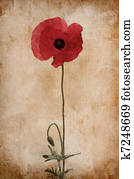 poppy poppy