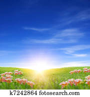 Spring Sunrise Spring Sunrise