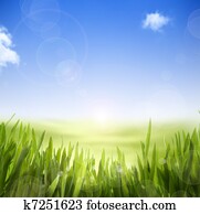 art abstract Spring nature background of spring grass and sky art abstract Spring nature background of spring grass and sky