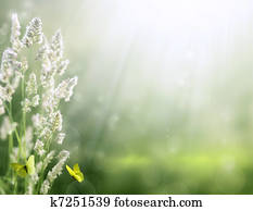 arte, verão, experiência., amanhecer, ligado, a, prado