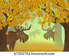 Autumn forest Autumn forest