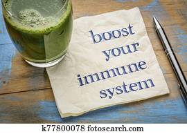 boost your immune system boost your immune system