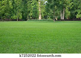 campo grama, e, árvores