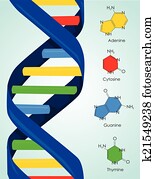 DNA DNA