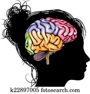 Woman brain concept