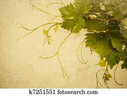 תקציר, בציר, סיגנון, רקע, לעצב, a, יין, רשום