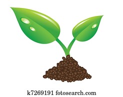 green sprout and soil green sprout and soil