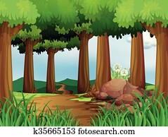 Nature scene with hiking track in the forest Nature scene with hiking track in the forest