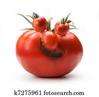 Art cheerful Mr. Tomato Art cheerful Mr. Tomato