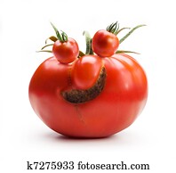 Art cheerful Mr. Tomato Art cheerful Mr. Tomato