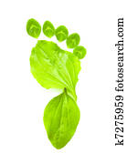 arte, símbolo ecologia, verde, impressão pé