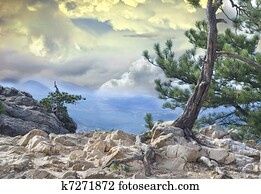 Dramatic Mountain View