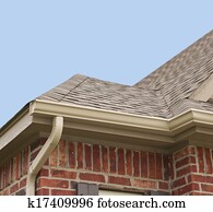 House Roof and Gutters