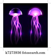 Vector Jellyfish Vector Jellyfish