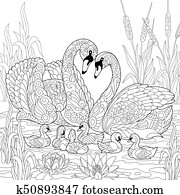 Zentangle stylized swan birds family Zentangle stylized swan birds family