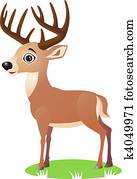 Deer cartoon Deer cartoon
