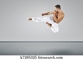 martial arts master martial arts master
