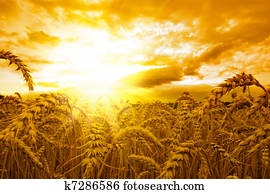 puesta de sol de oro