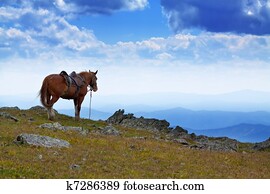 saddled horse  in  mountains 