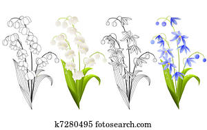 sammlung, von, frühjahrsblumen sammlung, von, frühjahrsblumen