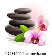 Spa stones and flowers Spa stones and flowers