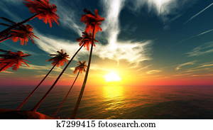 Beach Beach