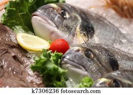 Seafood Seafood