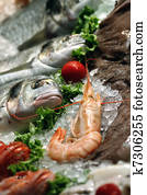 Seafood Seafood