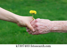 Young and senior's hands holding a Young and senior's hands holding a