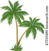 Palm trees