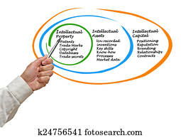 אינטלקטואלי, בירה