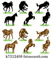 סוסים, צלליות, קבע