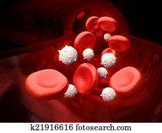 Blood Stream - Inside Vessel Blood Stream - Inside Vessel