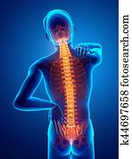 Male Feeling the back pain Male Feeling the back pain