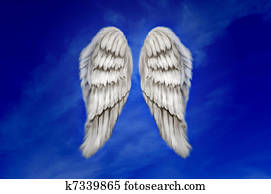 Angel Wings