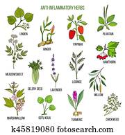 anti-inflammatory, herbs., העבר, צייר, קבע, של, תרופתי, צמחים