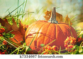 Pumpkin in the grass with vintage color feeling Pumpkin in the grass with vintage color feeling