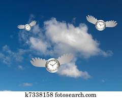 Time Flying