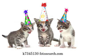 aniversário, canção, cantando, gatinhos, branco, fundo