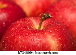 Apples Apples