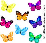 Butterfly Icon Set Butterfly Icon Set